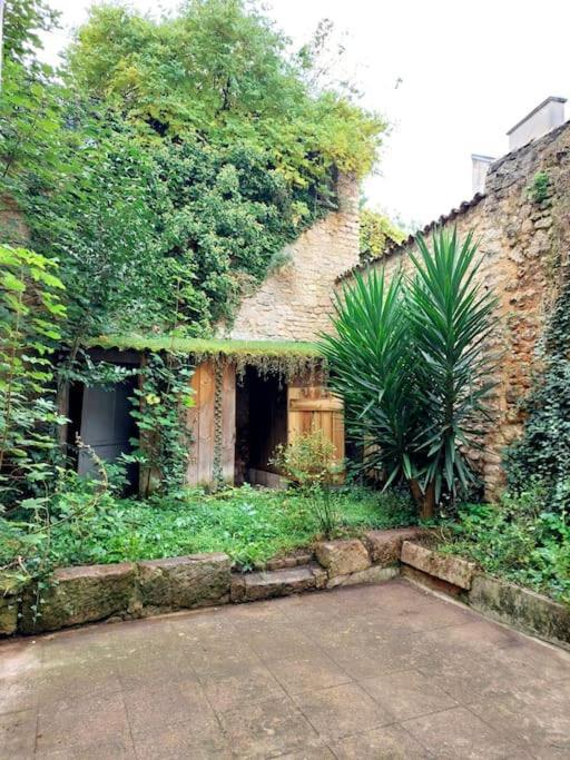 Le Patio - Cinelodge Avec Jardin Poitiers Eksteriør bilde
